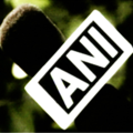 ANI Logo